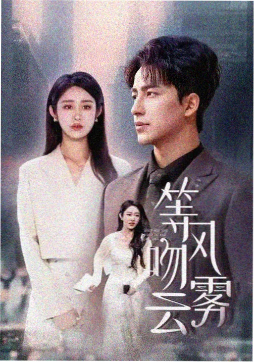 韩剧我的解放日志剧集海报