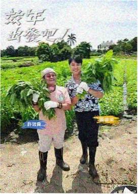 韩综认识的哥哥节目海报